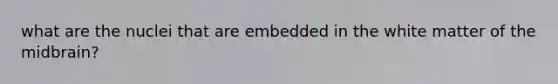 what are the nuclei that are embedded in the white matter of the midbrain?