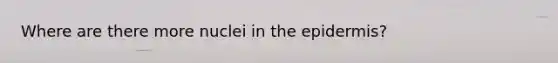 Where are there more nuclei in <a href='https://www.questionai.com/knowledge/kBFgQMpq6s-the-epidermis' class='anchor-knowledge'>the epidermis</a>?