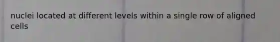 nuclei located at different levels within a single row of aligned cells