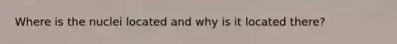 Where is the nuclei located and why is it located there?