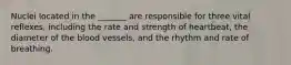 Nuclei located in the _______ are responsible for three vital reflexes, including the rate and strength of heartbeat, the diameter of the blood vessels, and the rhythm and rate of breathing.