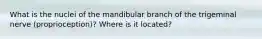 What is the nuclei of the mandibular branch of the trigeminal nerve (proprioception)? Where is it located?