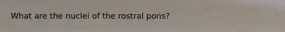 What are the nuclei of the rostral pons?