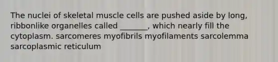 The nuclei of skeletal muscle cells are pushed aside by long, ribbonlike organelles called _______, which nearly fill the cytoplasm. sarcomeres myofibrils myofilaments sarcolemma sarcoplasmic reticulum