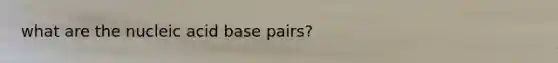 what are the nucleic acid base pairs?