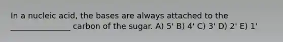 In a nucleic acid, the bases are always attached to the _______________ carbon of the sugar. A) 5' B) 4' C) 3' D) 2' E) 1'