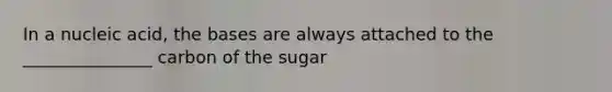 In a nucleic acid, the bases are always attached to the _______________ carbon of the sugar