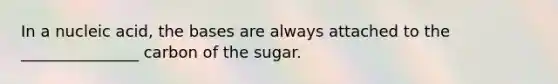 In a nucleic acid, the bases are always attached to the _______________ carbon of the sugar.