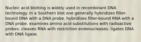 Nucleic acid blotting is widely used in recombinant DNA technology. In a Southern blot one generally hybridizes filter-bound DNA with a DNA probe. hybridizes filter-bound RNA with a DNA probe. examines amino acid substitutions with radioactive probes. cleaves RNA with restriction endonucleases. ligates DNA with DNA ligase.