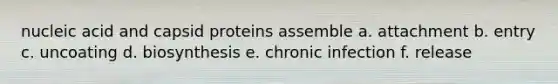 nucleic acid and capsid proteins assemble a. attachment b. entry c. uncoating d. biosynthesis e. chronic infection f. release