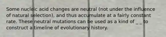 Some nucleic acid changes are neutral (not under the influence of natural selection), and thus accumulate at a fairly constant rate. These neutral mutations can be used as a kind of _ _ to construct a timeline of evolutionary history.