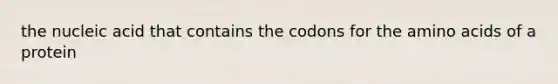 the nucleic acid that contains the codons for the <a href='https://www.questionai.com/knowledge/k9gb720LCl-amino-acids' class='anchor-knowledge'>amino acids</a> of a protein