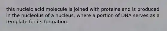 this nucleic acid molecule is joined with proteins and is produced in the nucleolus of a nucleus, where a portion of DNA serves as a template for its formation.