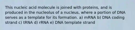 This nucleic acid molecule is joined with proteins, and is produced in the nucleolus of a nucleus, where a portion of DNA serves as a template for its formation. a) mRNA b) DNA coding strand c) tRNA d) rRNA e) DNA template strand