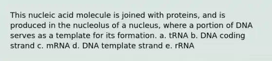 This nucleic acid molecule is joined with proteins, and is produced in the nucleolus of a nucleus, where a portion of DNA serves as a template for its formation. a. tRNA b. DNA coding strand c. mRNA d. DNA template strand e. rRNA