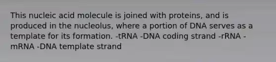 This nucleic acid molecule is joined with proteins, and is produced in the nucleolus, where a portion of DNA serves as a template for its formation. -tRNA -DNA coding strand -rRNA -mRNA -DNA template strand