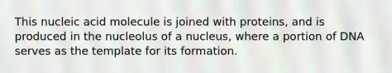 This nucleic acid molecule is joined with proteins, and is produced in the nucleolus of a nucleus, where a portion of DNA serves as the template for its formation.