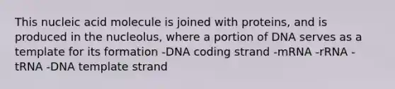 This nucleic acid molecule is joined with proteins, and is produced in the nucleolus, where a portion of DNA serves as a template for its formation -DNA coding strand -mRNA -rRNA -tRNA -DNA template strand