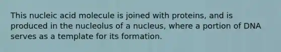 This nucleic acid molecule is joined with proteins, and is produced in the nucleolus of a nucleus, where a portion of DNA serves as a template for its formation.