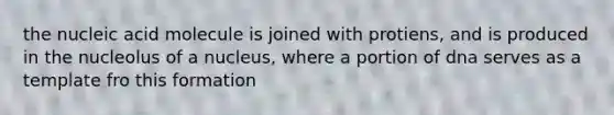 the nucleic acid molecule is joined with protiens, and is produced in the nucleolus of a nucleus, where a portion of dna serves as a template fro this formation