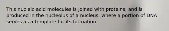 This nucleic acid molecules is joined with proteins, and is produced in the nucleolus of a nucleus, where a portion of DNA serves as a template for its formation