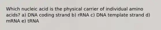 Which nucleic acid is the physical carrier of individual amino acids? a) DNA coding strand b) rRNA c) DNA template strand d) mRNA e) tRNA