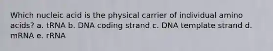 Which nucleic acid is the physical carrier of individual <a href='https://www.questionai.com/knowledge/k9gb720LCl-amino-acids' class='anchor-knowledge'>amino acids</a>? a. tRNA b. DNA coding strand c. DNA template strand d. mRNA e. rRNA