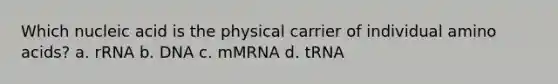 Which nucleic acid is the physical carrier of individual amino acids? a. rRNA b. DNA c. mMRNA d. tRNA