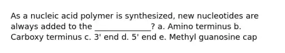 As a nucleic acid polymer is synthesized, new nucleotides are always added to the ______________? a. Amino terminus b. Carboxy terminus c. 3' end d. 5' end e. Methyl guanosine cap