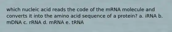 which nucleic acid reads the code of the mRNA molecule and converts it into the amino acid sequence of a protein? a. iRNA b. mDNA c. rRNA d. mRNA e. tRNA