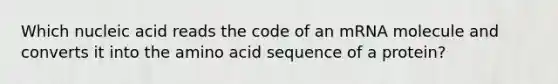 Which nucleic acid reads the code of an mRNA molecule and converts it into the amino acid sequence of a protein?