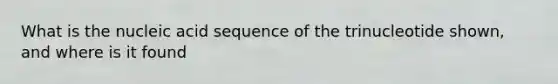 What is the nucleic acid sequence of the trinucleotide shown, and where is it found