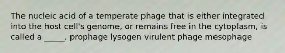 The nucleic acid of a temperate phage that is either integrated into the host cell's genome, or remains free in the cytoplasm, is called a _____. prophage lysogen virulent phage mesophage