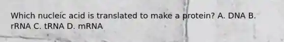 Which nucleic acid is translated to make a protein? A. DNA B. rRNA C. tRNA D. mRNA