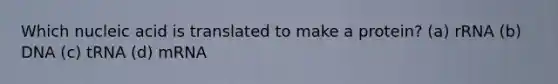 Which nucleic acid is translated to make a protein? (a) rRNA (b) DNA (c) tRNA (d) mRNA