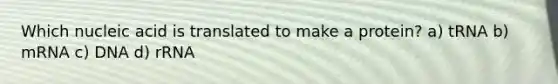 Which nucleic acid is translated to make a protein? a) tRNA b) mRNA c) DNA d) rRNA