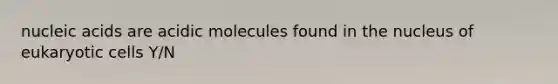 nucleic acids are acidic molecules found in the nucleus of <a href='https://www.questionai.com/knowledge/kb526cpm6R-eukaryotic-cells' class='anchor-knowledge'>eukaryotic cells</a> Y/N