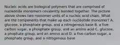 Nucleic acids are biological polymers that are comprised of nucleotide monomers covalently bonded together. The picture above shows two monomer units of a nucleic acid chain. What are the components that make up each nucleotide monomer? A. glucose, a phosphate group, and a nitrogenous base B. a five-carbon sugar, a phosphate group, and an amino acid C. glucose, a phophate group, and an amino acid D. a five-carbon sugar, a phosphate group, and a nitrogenous base