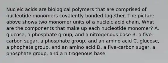 Nucleic acids are biological polymers that are comprised of nucleotide monomers covalently bonded together. The picture above shows two monomer units of a nucleic acid chain. What are the components that make up each nucleotide monomer? A. glucose, a phosphate group, and a nitrogenous base B. a five-carbon sugar, a phosphate group, and an amino acid C. glucose, a phophate group, and an amino acid D. a five-carbon sugar, a phosphate group, and a nitrogenous base