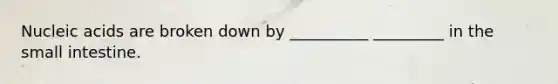 Nucleic acids are broken down by __________ _________ in the small intestine.