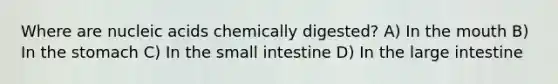 Where are nucleic acids chemically digested? A) In the mouth B) In the stomach C) In the small intestine D) In the large intestine