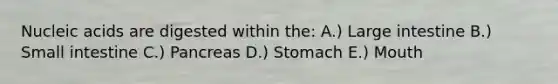 Nucleic acids are digested within the: A.) Large intestine B.) Small intestine C.) Pancreas D.) Stomach E.) Mouth