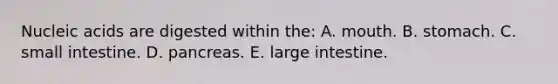 Nucleic acids are digested within the: A. mouth. B. stomach. C. small intestine. D. pancreas. E. large intestine.