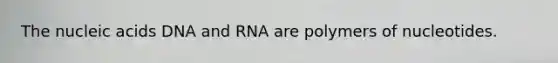 The nucleic acids DNA and RNA are polymers of nucleotides.