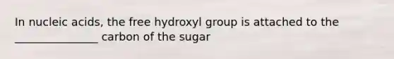 In nucleic acids, the free hydroxyl group is attached to the _______________ carbon of the sugar