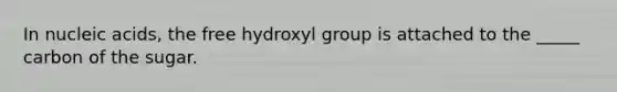 In nucleic acids, the free hydroxyl group is attached to the _____ carbon of the sugar.