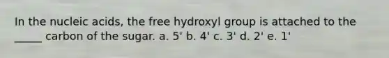 In the nucleic acids, the free hydroxyl group is attached to the _____ carbon of the sugar. a. 5' b. 4' c. 3' d. 2' e. 1'