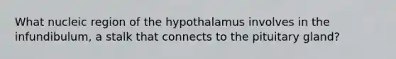 What nucleic region of the hypothalamus involves in the infundibulum, a stalk that connects to the pituitary gland?