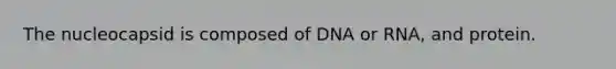 The nucleocapsid is composed of DNA or RNA, and protein.