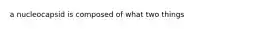 a nucleocapsid is composed of what two things